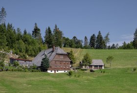 Phoca Thumb M Erlenhof Am Rhorhardsberg 6058 2018